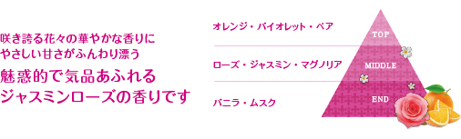 イメージ図
