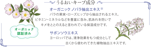 商品ポイント 商品ポイント