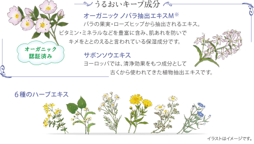 商品ポイント 商品ポイント