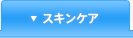 �X�L���P�A