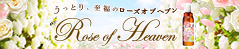 Rose of Heaven