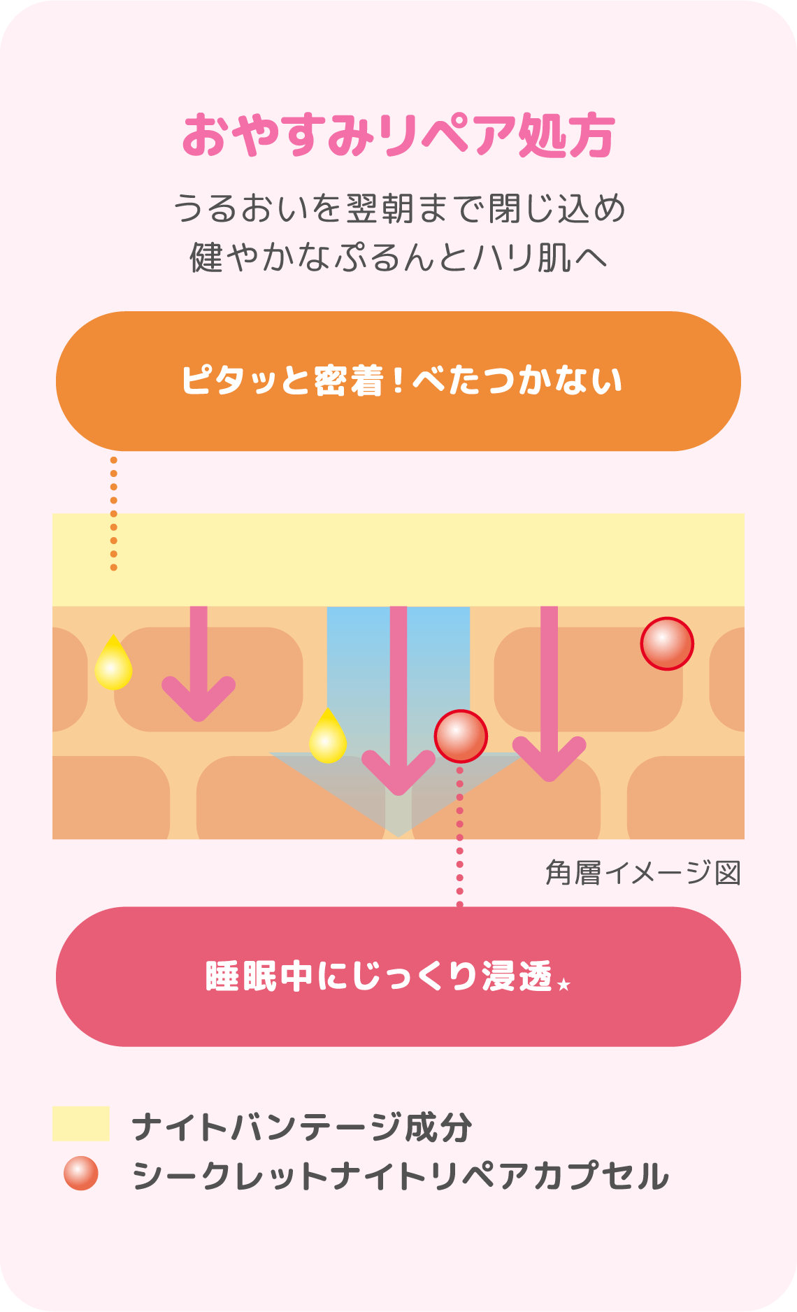 おやすみリペア処方 うるおいを翌朝まで閉じ込め健やかなぷるんとハリ肌へ